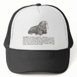 walrus hats