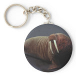 Walrus Keychain