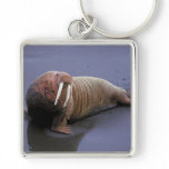 Walrus Key Chain