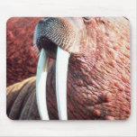 Walrus Mouse Pads