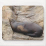 Walrus Mousepad