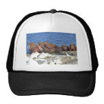Walrus on Bering Sea Ice Hat