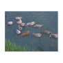 Walrus on Togiak National Wildlife Post Card