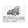 walrus post cards