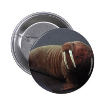 Walrus Round Button