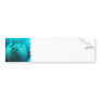 Walrus Swimming Bumper Sticker