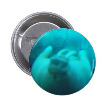 Walrus Swimming Button