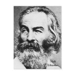 Walt Whitman postcards