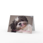 walter2, He's just using me to say he's sorry... Greeting Cards