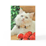 Walter's Shiny Red Christmas Balls Card
