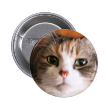 Wanda Button