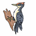 Wanda Woodpecker photo sculptures
