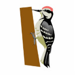 Wandell Woodpecker photo sculptures