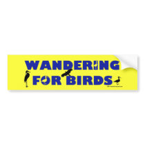 Wandering For Birds