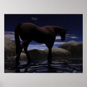 Wandering posters