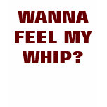 WANNA FEEL MY WHIP? t-shirts