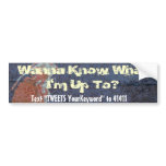 Wanna Know What I'm Up To? - Bomb bumper stickers