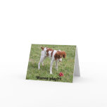 Wanna play?? cards