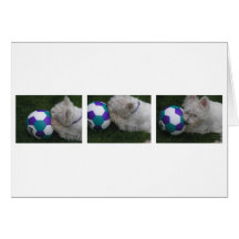 Wanna Play? Greeting Cards