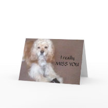 WANT TO GET TOGETHER-MISS YOU CARDS