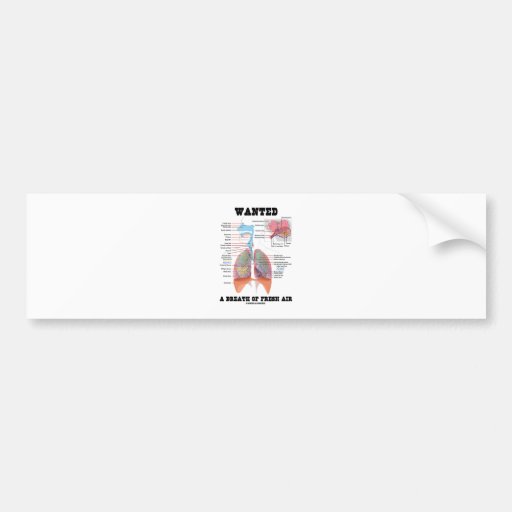 Wanted A Breath Of Fresh Air (Respiratory System) Bumper Stickers
