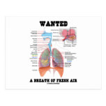 Wanted A Breath Of Fresh Air (Respiratory System) Post Cards