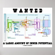 Wanted A Large Amount Of Inner Potential Posters