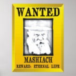 Wanted Mashiach posters