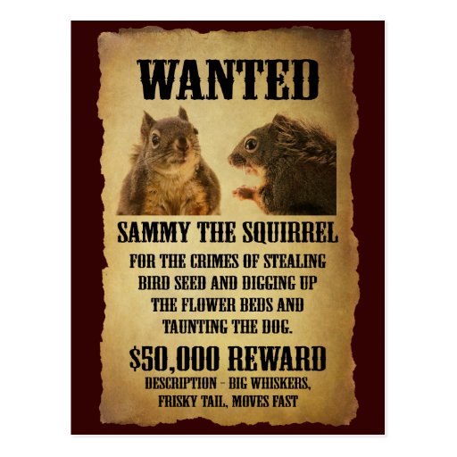 wanted-poster-with-squirrel-zazzle