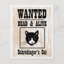 Wanted Schrodinger's Cat Full Colour Flyer