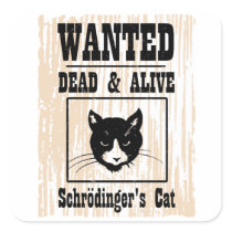 Wanted Schrodinger's Cat Square Stickers