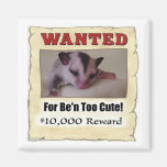 wanted sugar glider refrigerator magnets