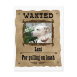 Wanted Wild West Poster Pet Custom Photo Template postcards