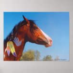 War Pony, Paint Horse Poster posters