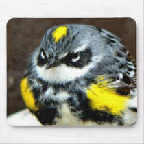 Warbler Mouse Pad