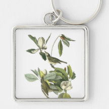 Warbling Vireo, John Audubon Keychain