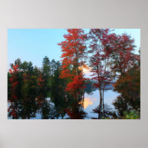 Ware River Red Maple Foliage Poster