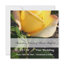 Warm Affection Invitations