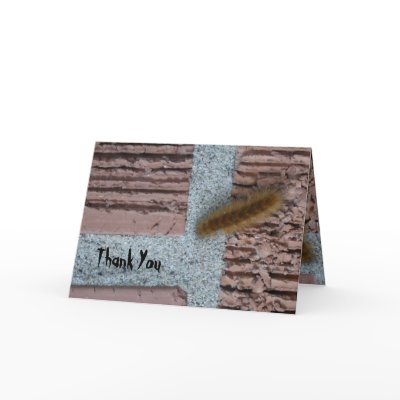 Warm Fuzzy Thank You Greeting Cards by Cards_By_Janz