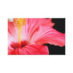 Warm Glow Canvas Prints