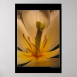 Warm Memories posters