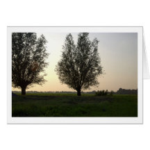 Warm Summer Evening Cards
