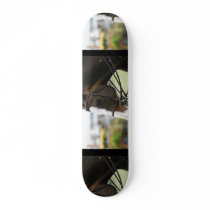 Warmblood Horse Photo Skateboard