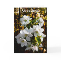 Warmest Greetings Card