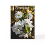 Warmest Greetings cards