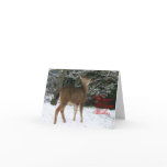 Warmest Solstice Wishes greeting card