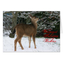 Warmest Solstice Wishes greeting card