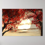Warming and Peaceful Trees Poster