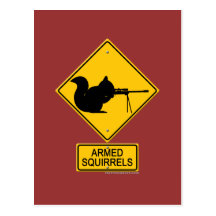 Warning Armed Squirrels Postcards