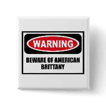 Warning BEWARE OF AMERICAN BRITTANY Button